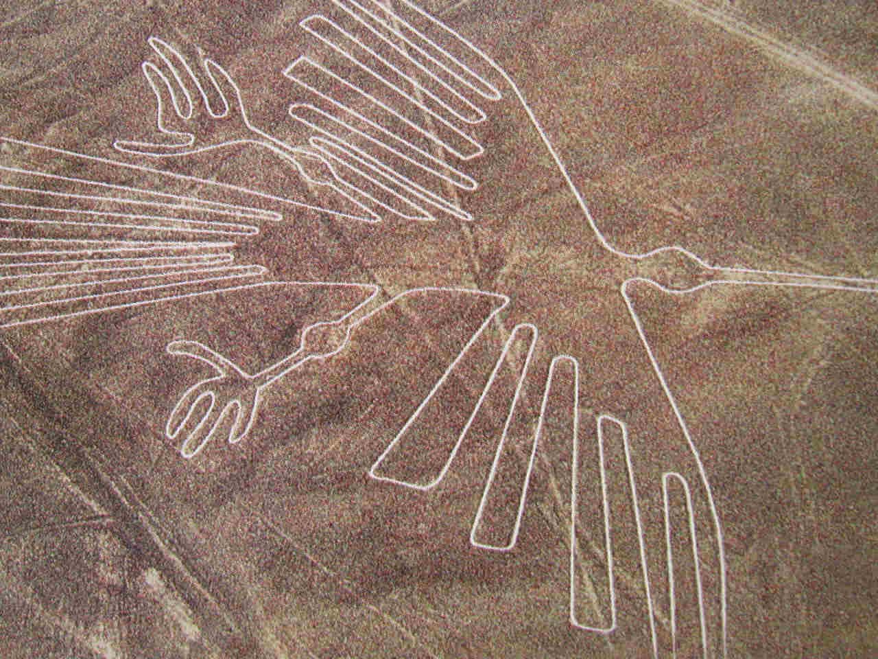 Rondreis Peru: nazca lijnen