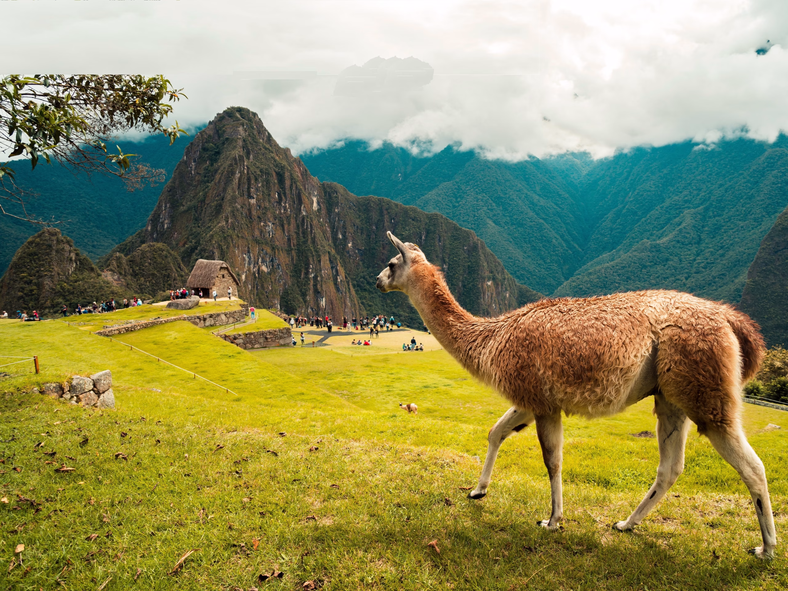 Machu Picchu