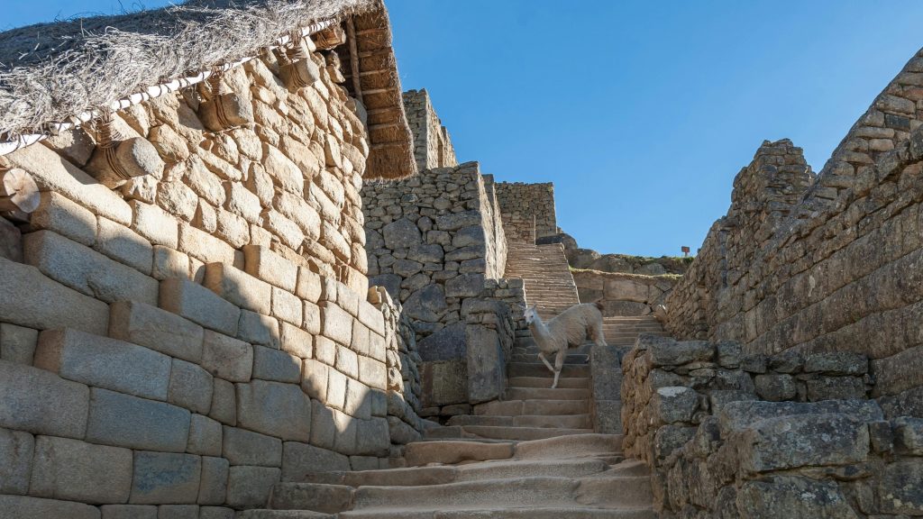 Everything About the Altitude of Machu Picchu>