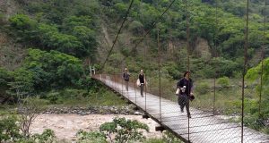 Inca Jungle Trail