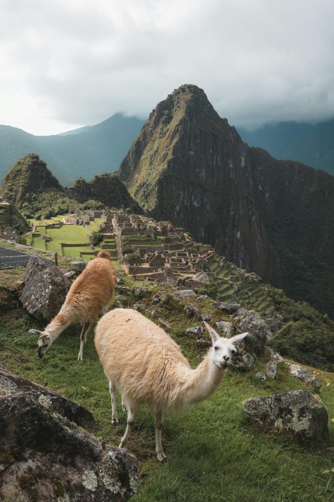 Tickets Machu Picchu 2026: scarce and sell out fast>
