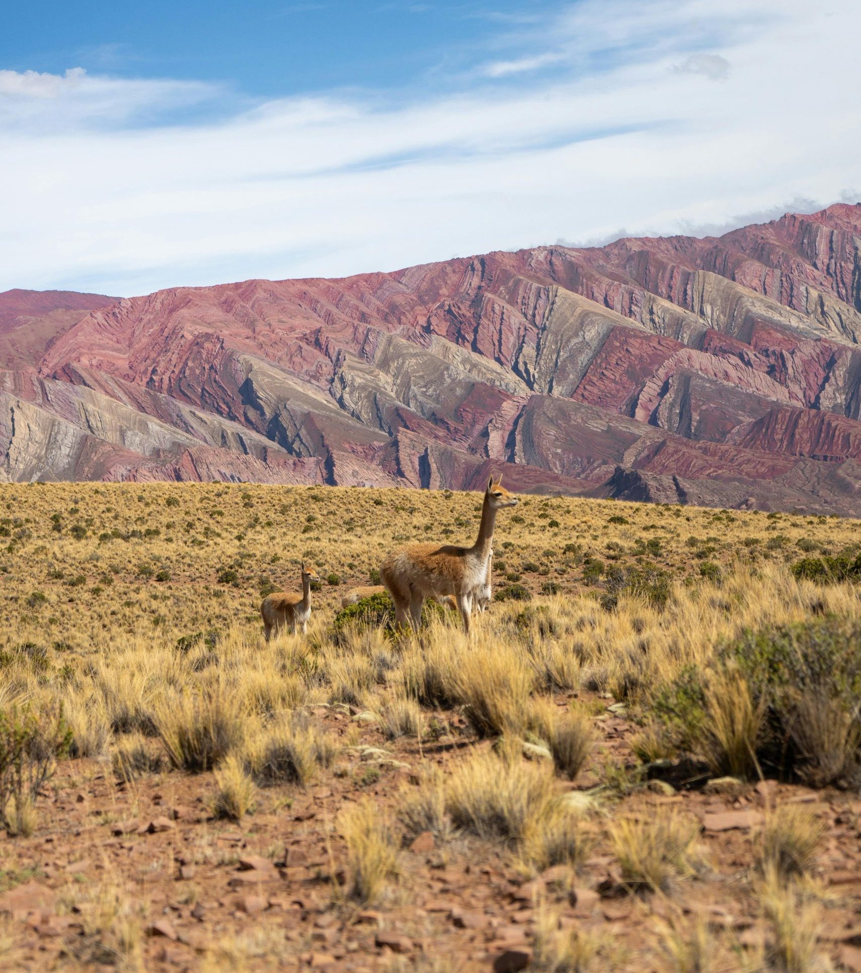 Lares Trail