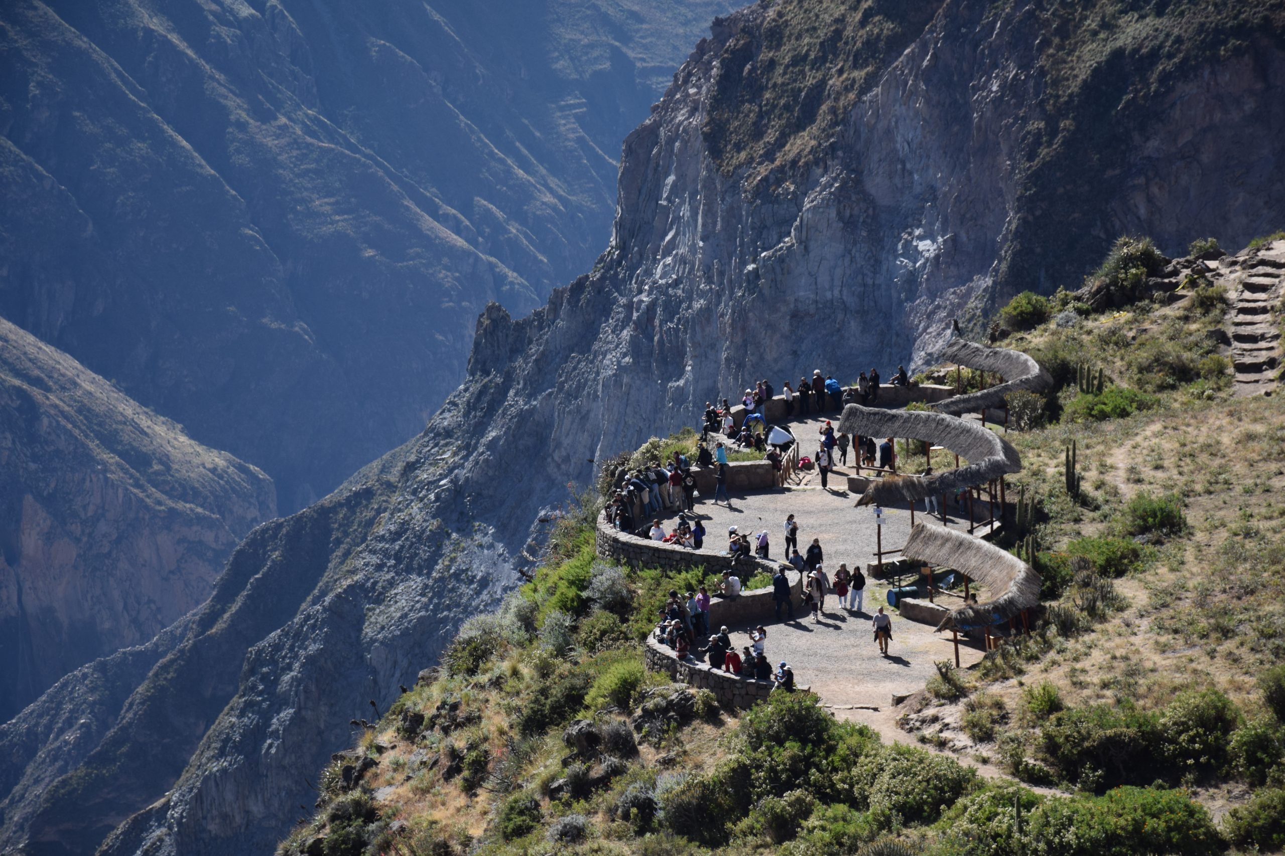Colca Canyon Tour