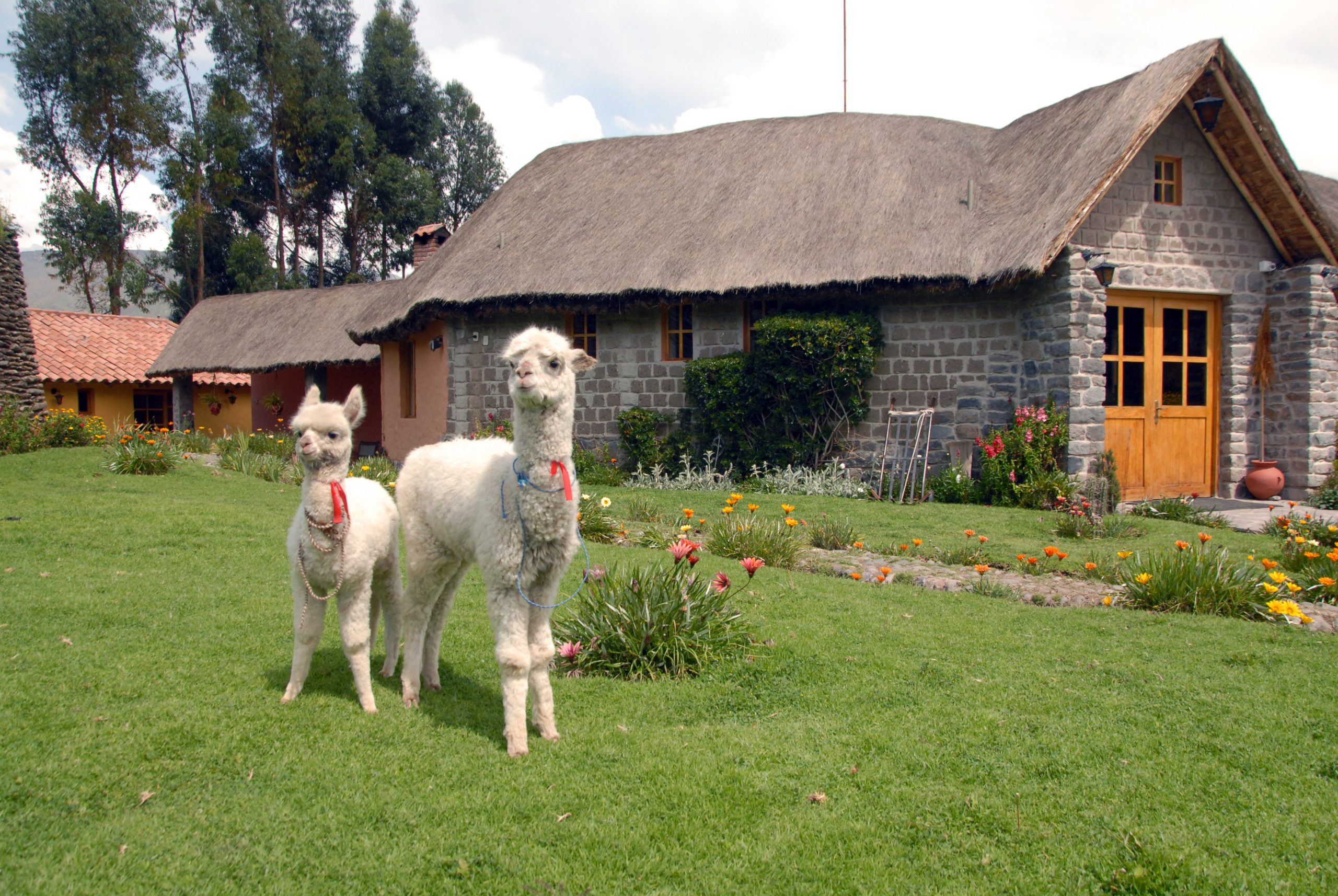 Hotel Colca Canyon Trail