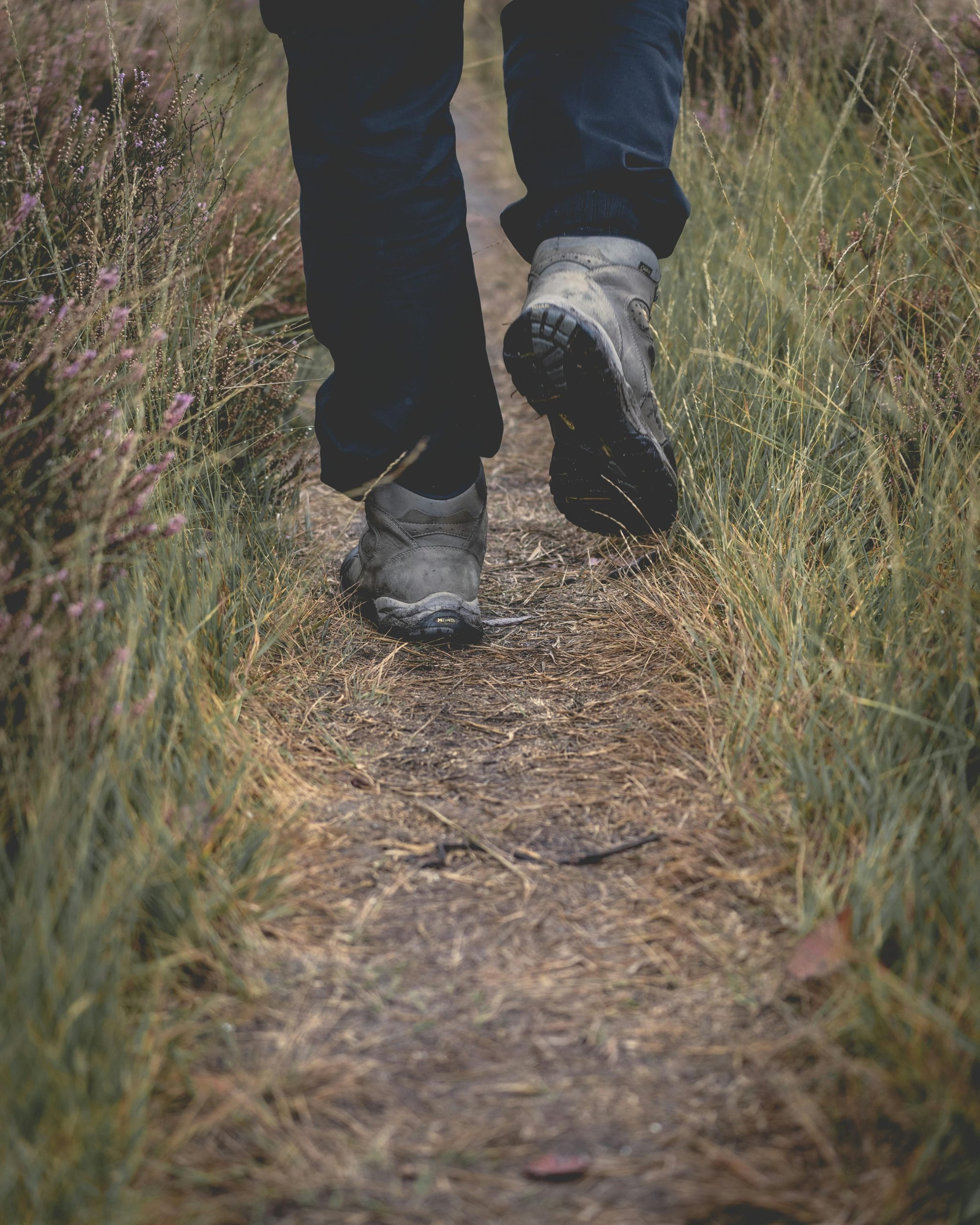 Trail preparation